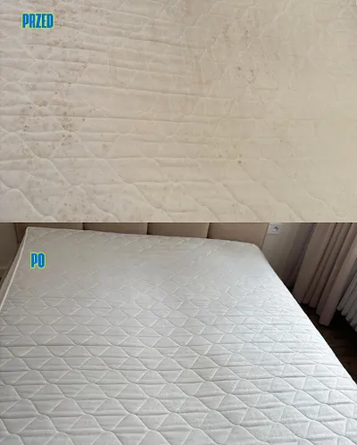 Czysty Kąt – Mobilna Pralnia Zielona Góra